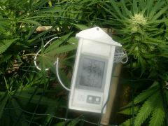 DSCN0379
