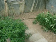 DSCN0128