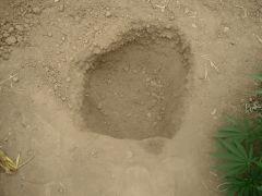 DSCN0147