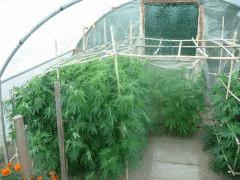 DSCN0214