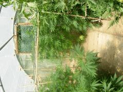 DSCN0272