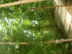 DSCN0348