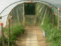 DSCN0077
