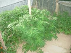 DSCN0183