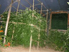 DSCN0206