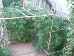 DSCN0267