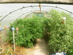 DSCN0331