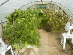 DSCN0561