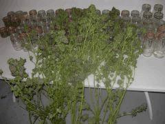 DSCN0566