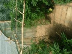 DSCN0273