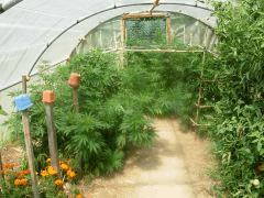 DSCN0271