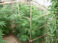 DSCN0225