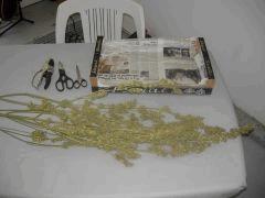 DSCN0280