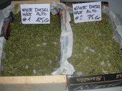 DSCN0291