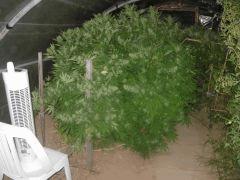 DSCN0448