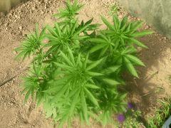 DSCN0057