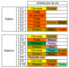 PH/P X PCK 2nde Generation - Kalium (Lignées #5 & #6) et Kalicore (Lignées #5 & #6) - Aromes jour Du Cut
