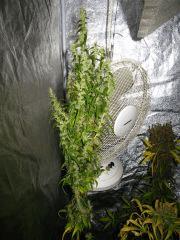 KC6.7