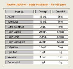 Recette JMAA V4 - Pistillation - Flo + 29 jours