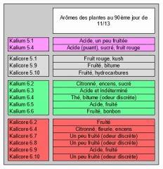 Session 2017 - Lignées Kalium & Kalicore - #5 & #6 - Arômes sur pied - 90ème jour de 11/13