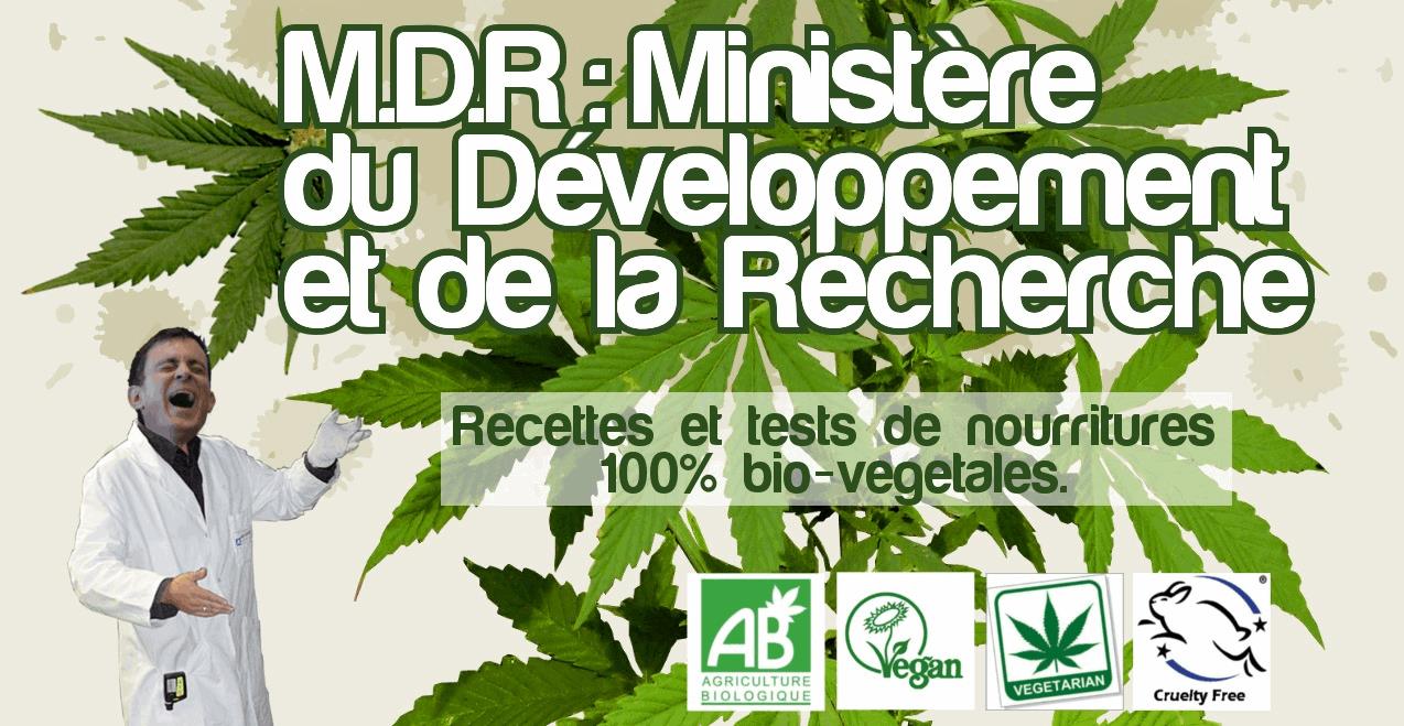 MDR : Ministère de Développement & de la Recherche