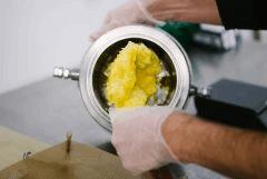 wax2
