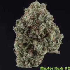 Master Kush #2 2017 White label Reg