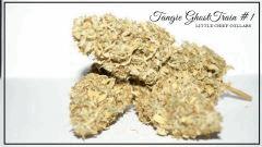 Tangie Ghost Train # 1