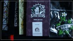 cadeau concours Orga seeds black Do