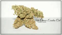 UK cheese exodus Cut