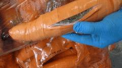 drogue.de La marijuana dans Des carottes