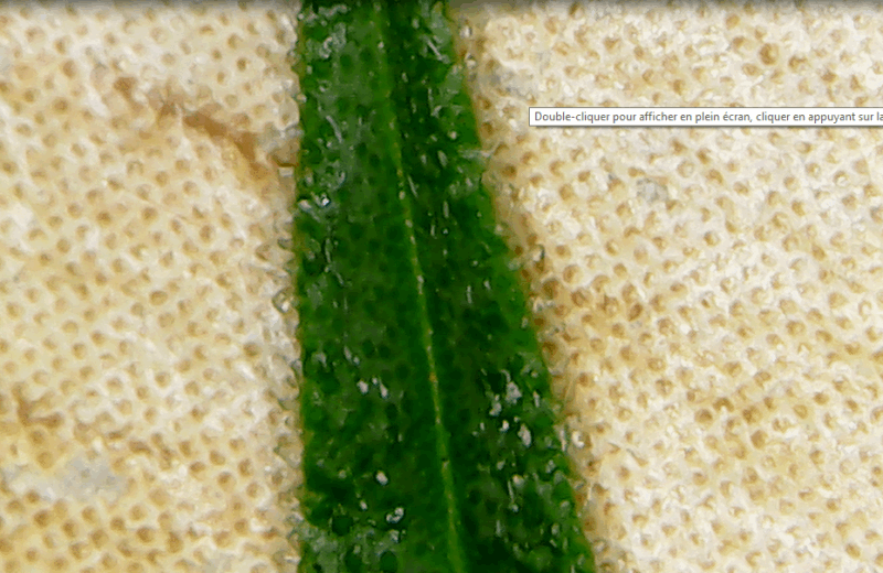 med_gallery_853329_5680_288285.png