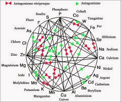 09  Antagonismes Et Antagonismes réciproques