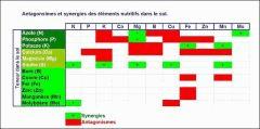 08 Antagonismes Et synergies Des éléments nutritifs dans Le Sol