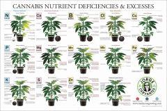 01 Cannabis nutrient deficiences & excesses - Jorges Cervantes