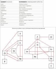 07 Interactions entre Les éléments En excès Et Les déficiences (blocages, carences apparentes)