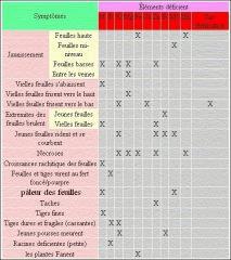 04 Symptômes éléments déficients Et surfertilisation