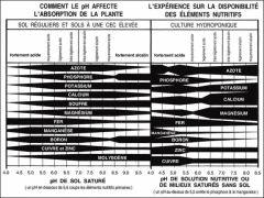 11 PH Et absortion Des nutriments