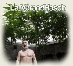 titre 2
