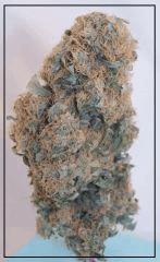 Grapegum