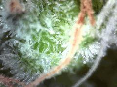 Photo20171017184228530