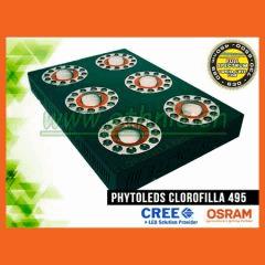 phytoled clorofilla 495