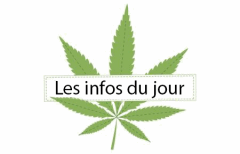Titre Les infos Du jour