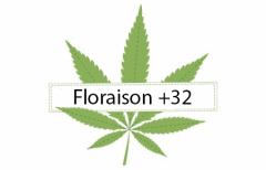 Titre Floraison  32
