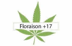 Titre Floraison  17