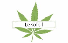 Titre Le soleil