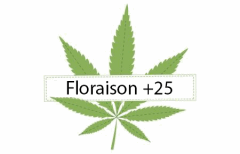 Titre Floraison  25