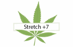 Titre Stretch  7