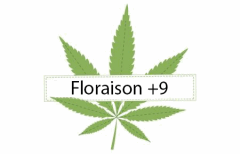 Titre Floraison  9