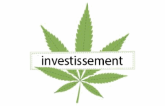 Titre Investissement